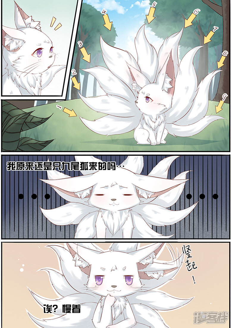 狐妖太子妃漫画 第1话 重生九尾狐 - 漫客栈