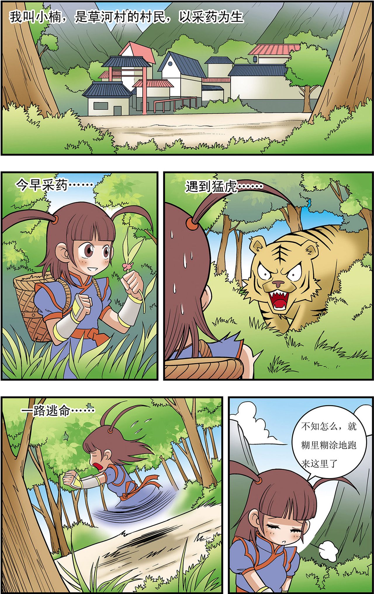 6.jpg