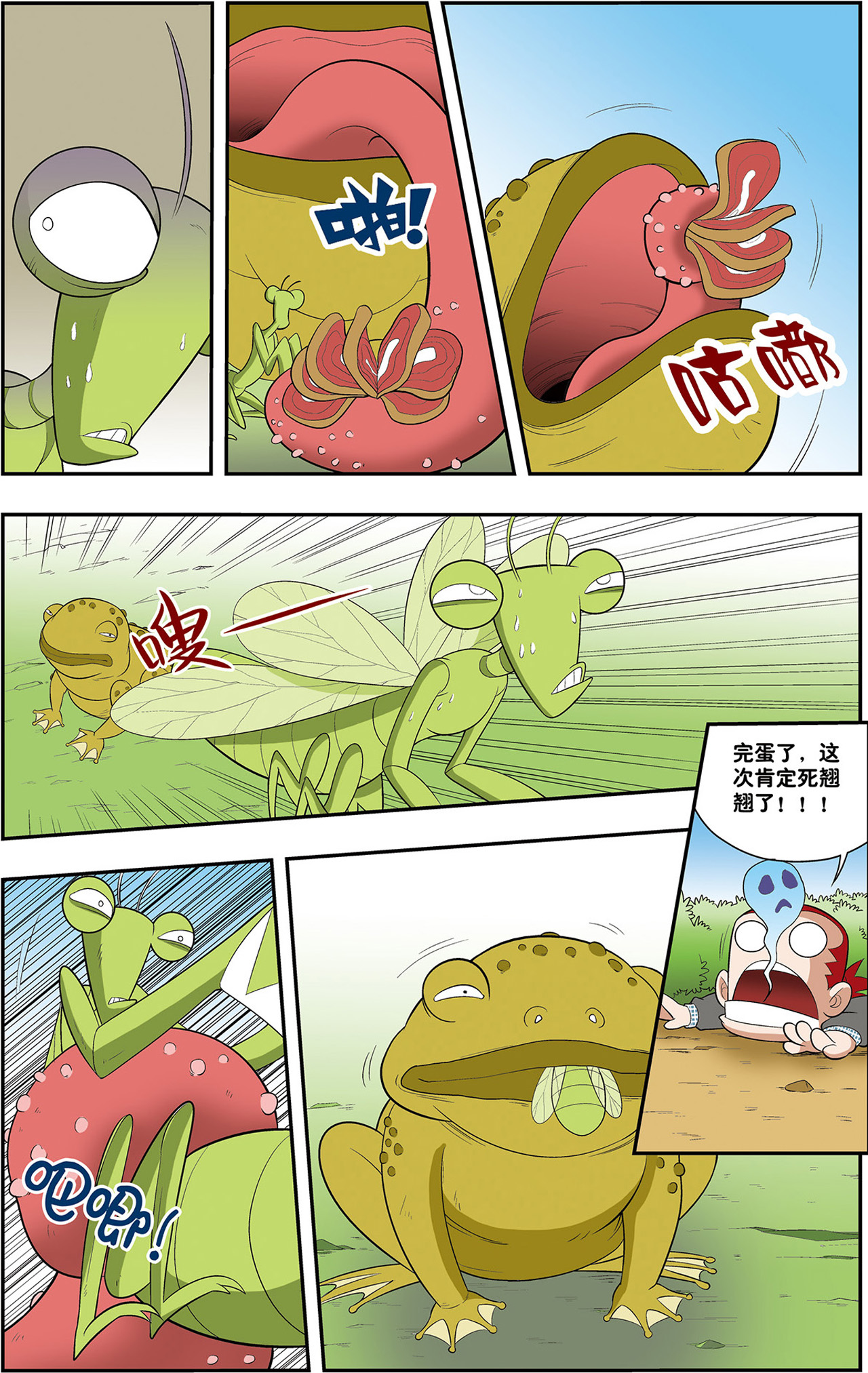 11.jpg