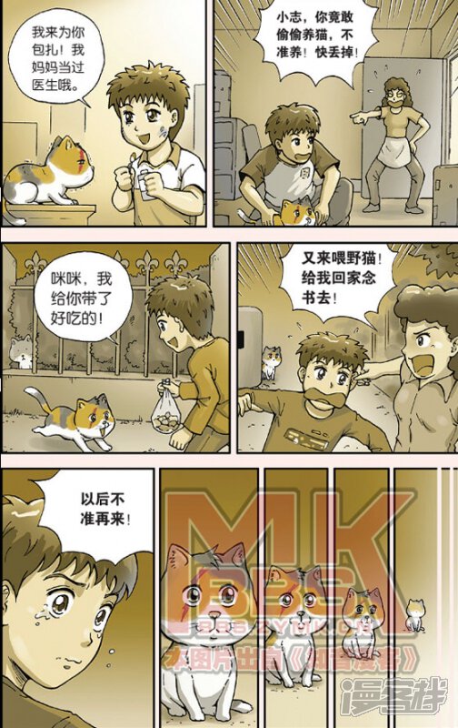 猫的报恩漫画全一话-漫漫画実客栈狂果图片