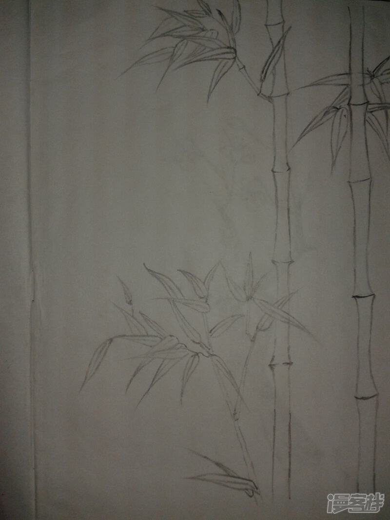 铅笔画渣渣史漫画 梅,竹,叶① - 漫客栈