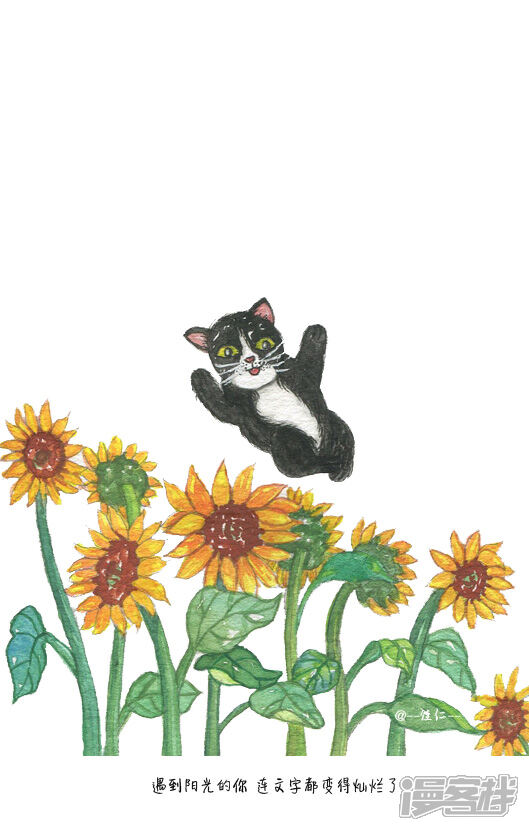 向日葵和猫20