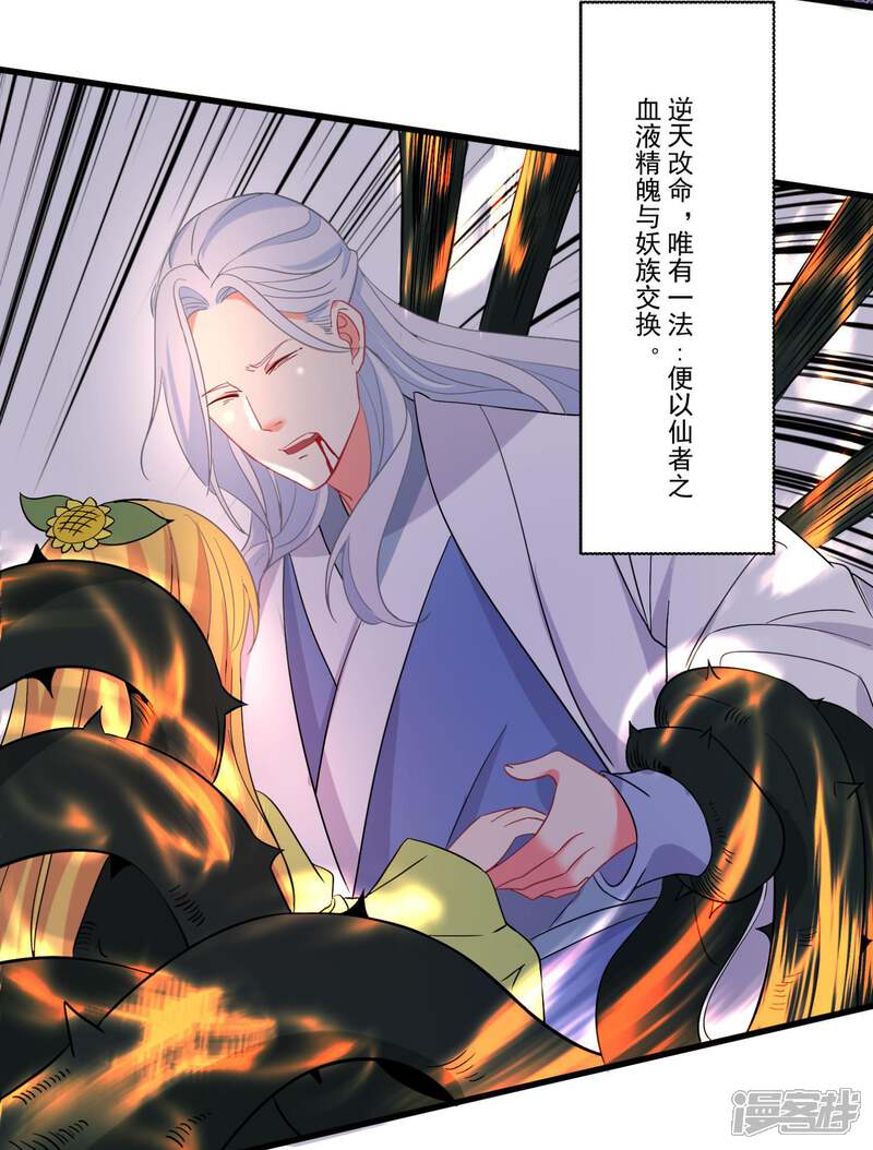 第49话 月老的选择