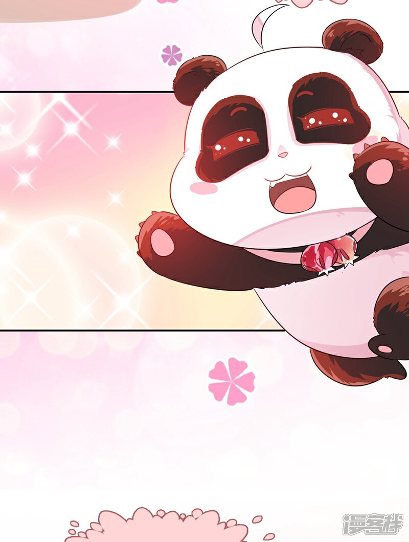 天降萌宝小熊猫:萌妃来袭漫画 第36话 一只毒舌的孔雀