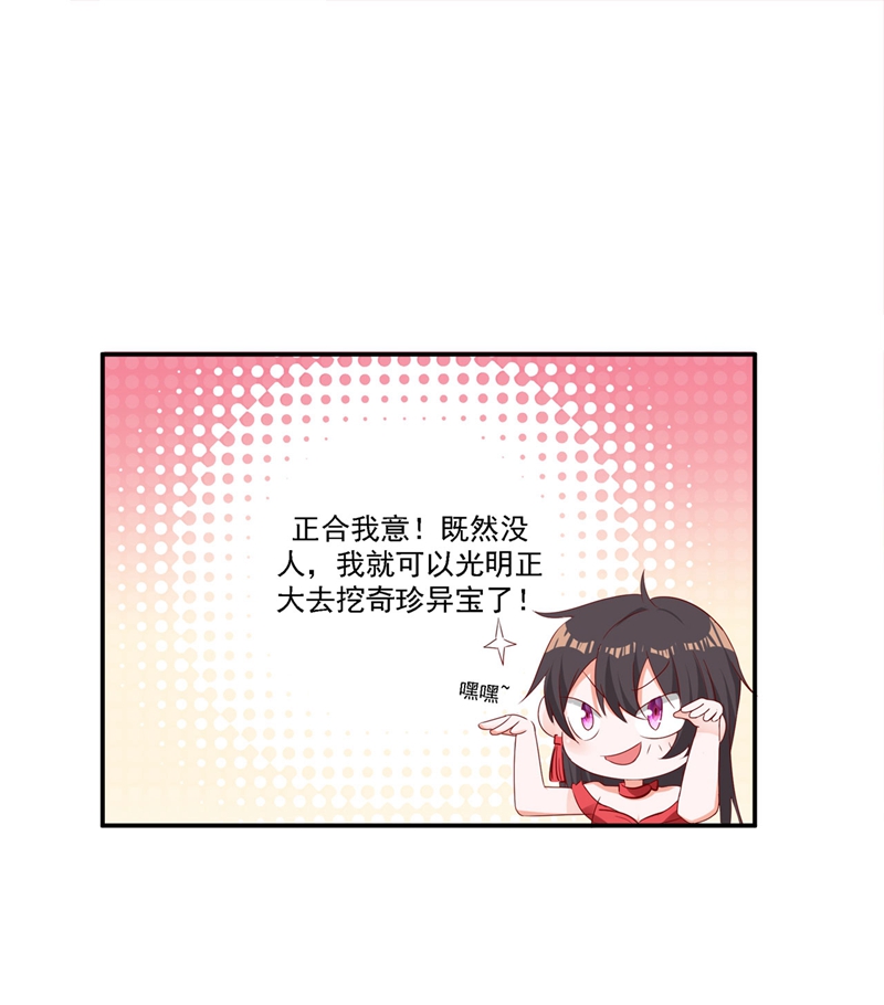 51.jpg
