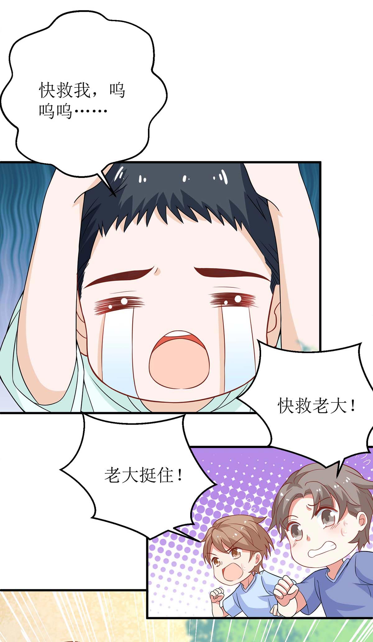 5.jpg