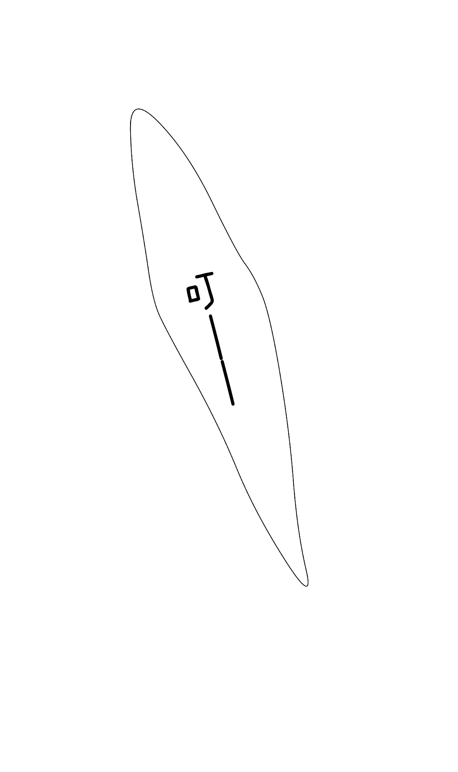 194.jpg