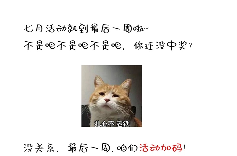 86.jpg