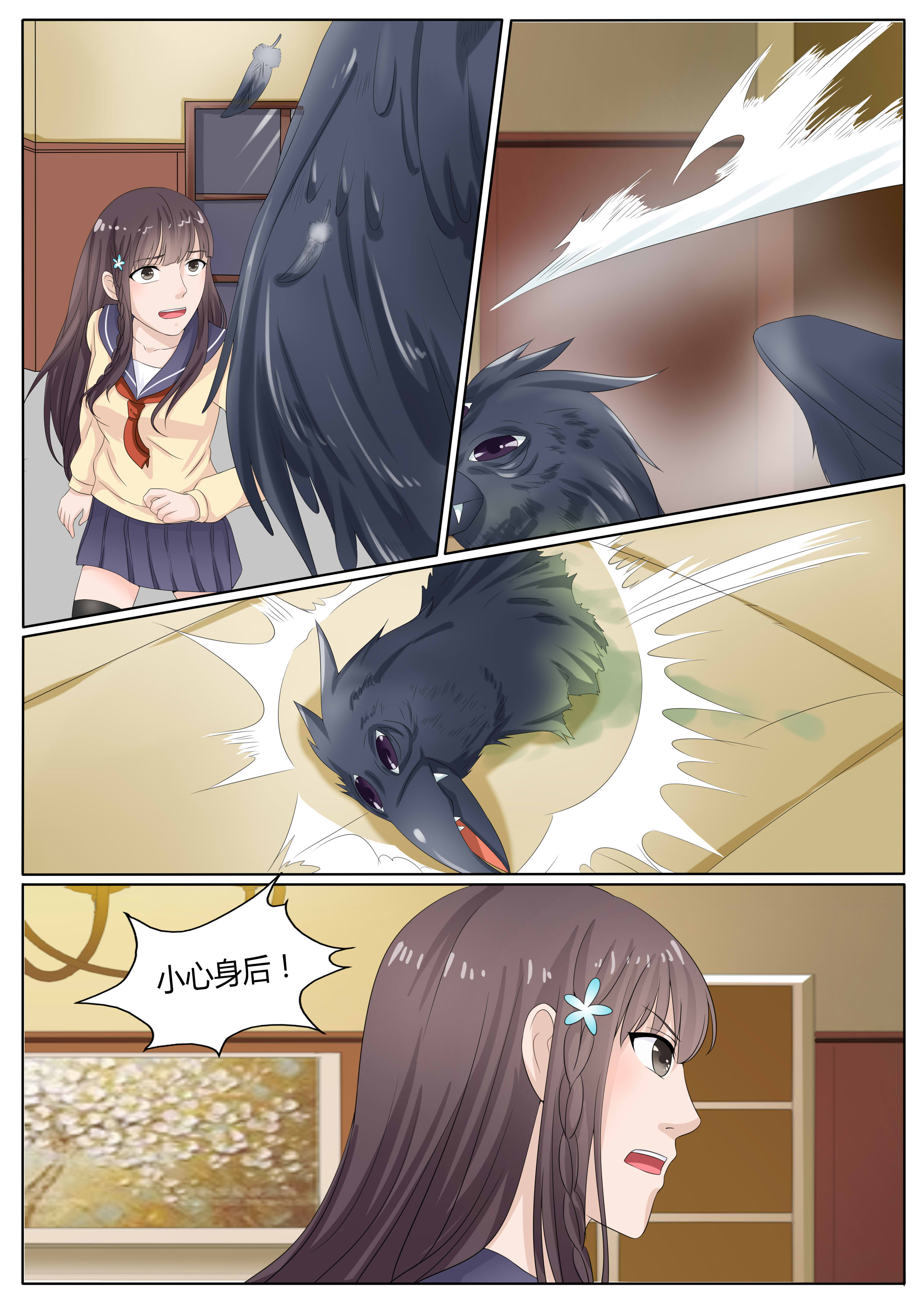 5.jpg