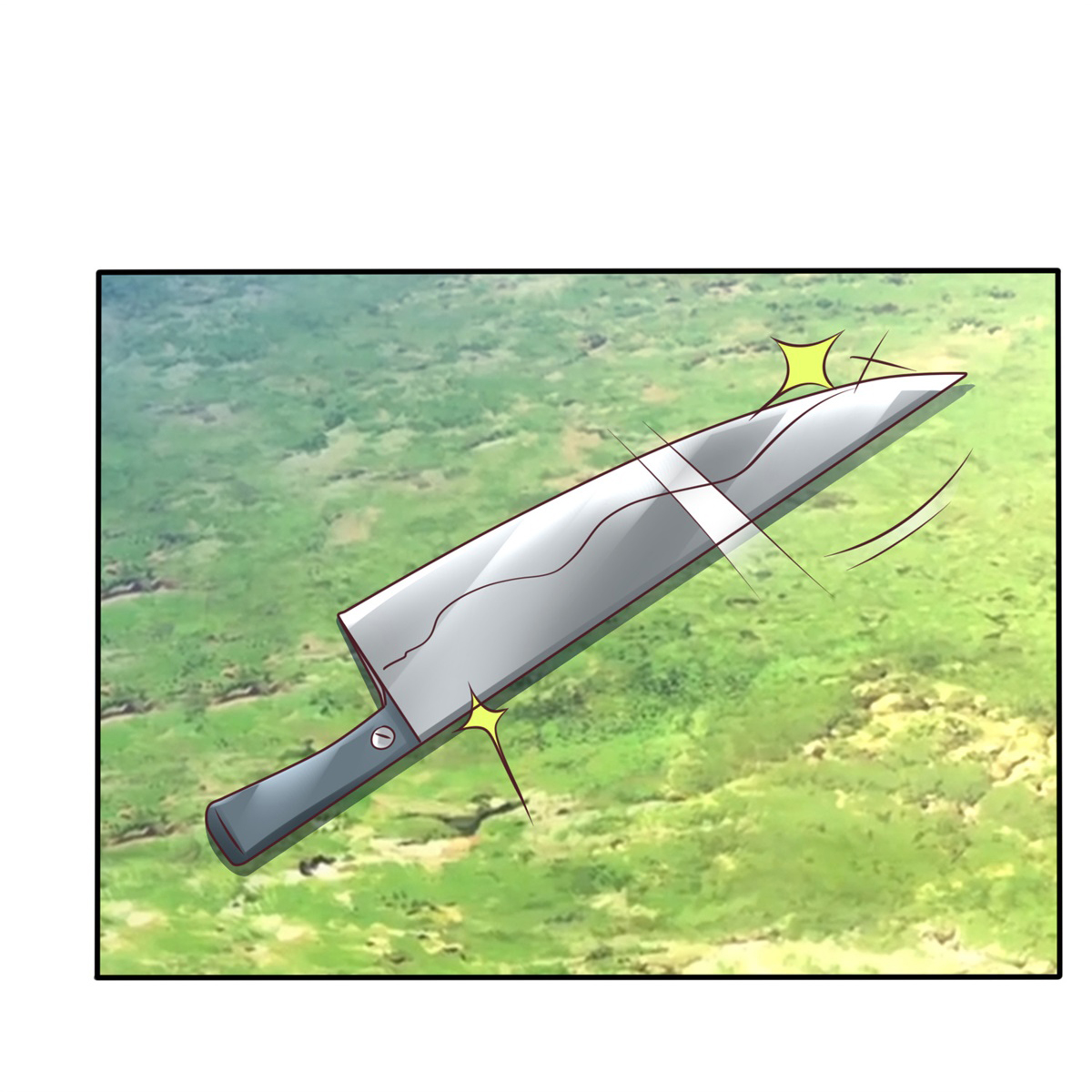 51.jpg