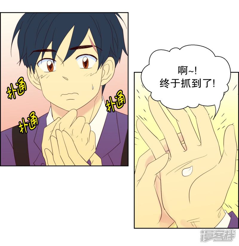 走进少女的心漫画 第77话 向花瓣许愿2 漫客栈