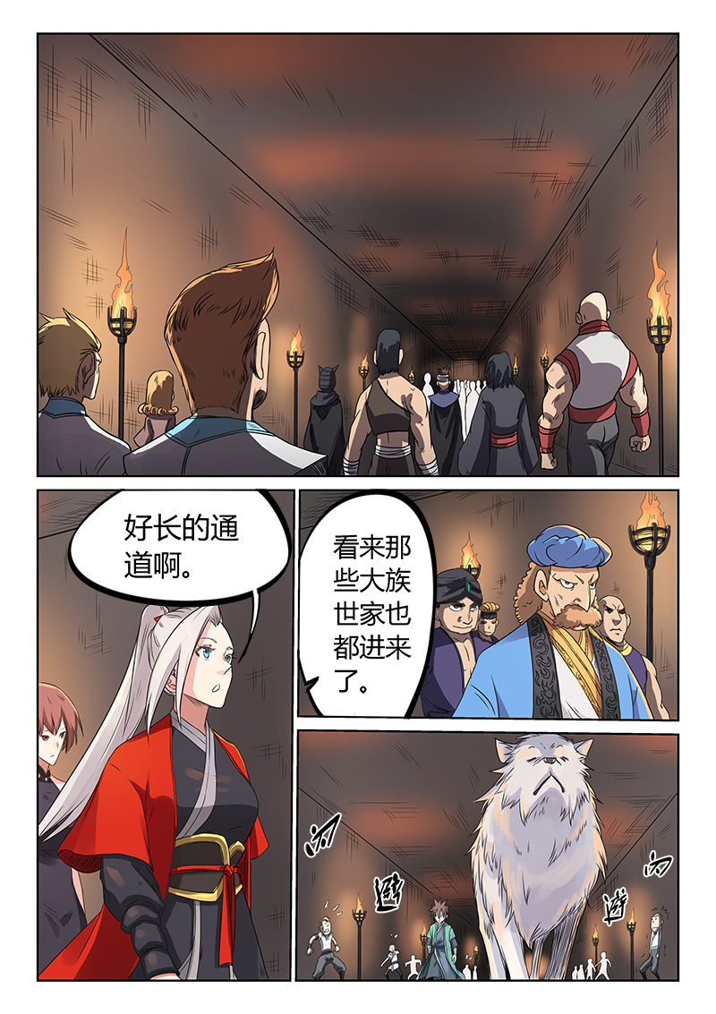 5.jpg