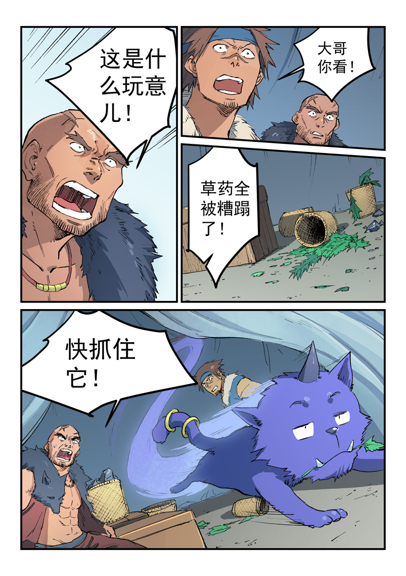 5.jpg