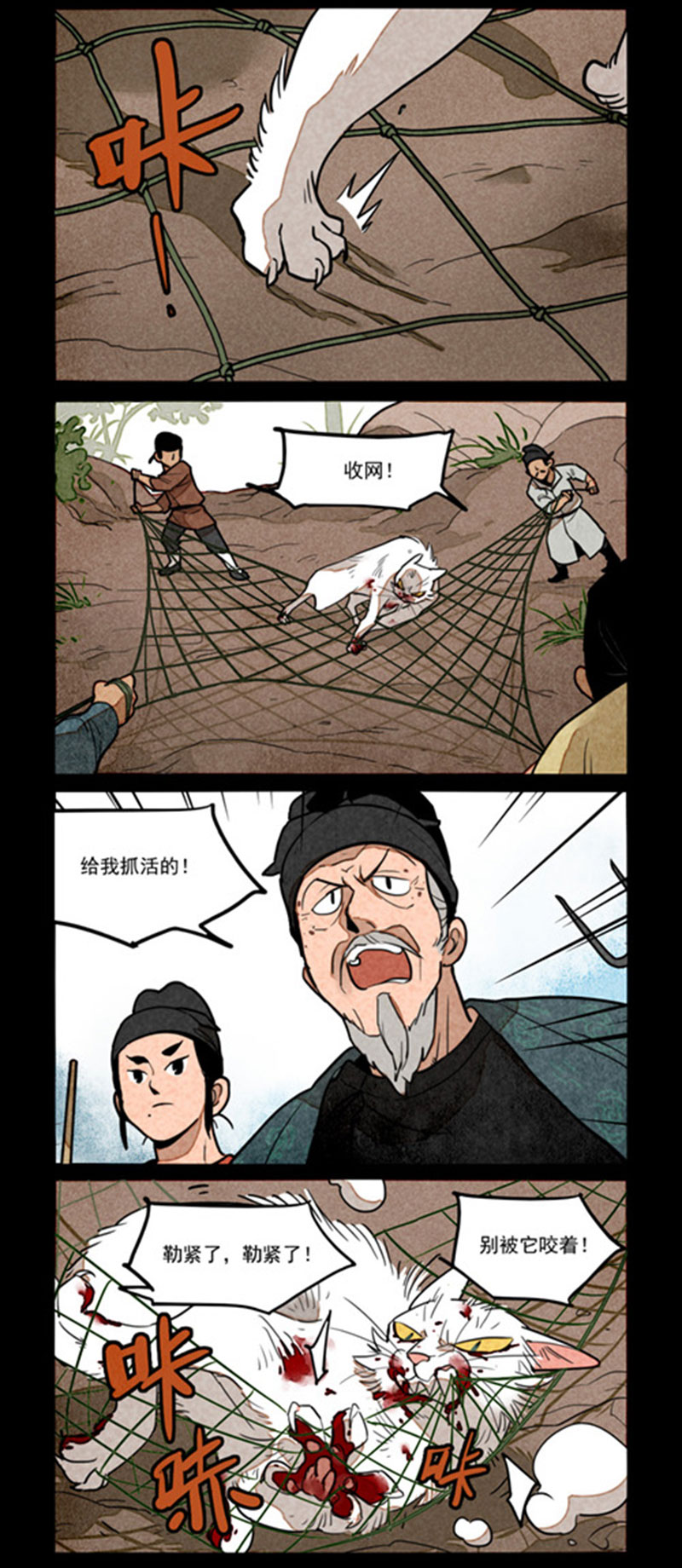 11.jpg