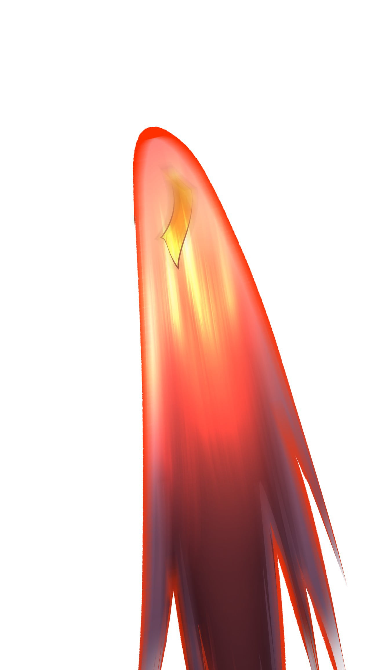 114.jpg