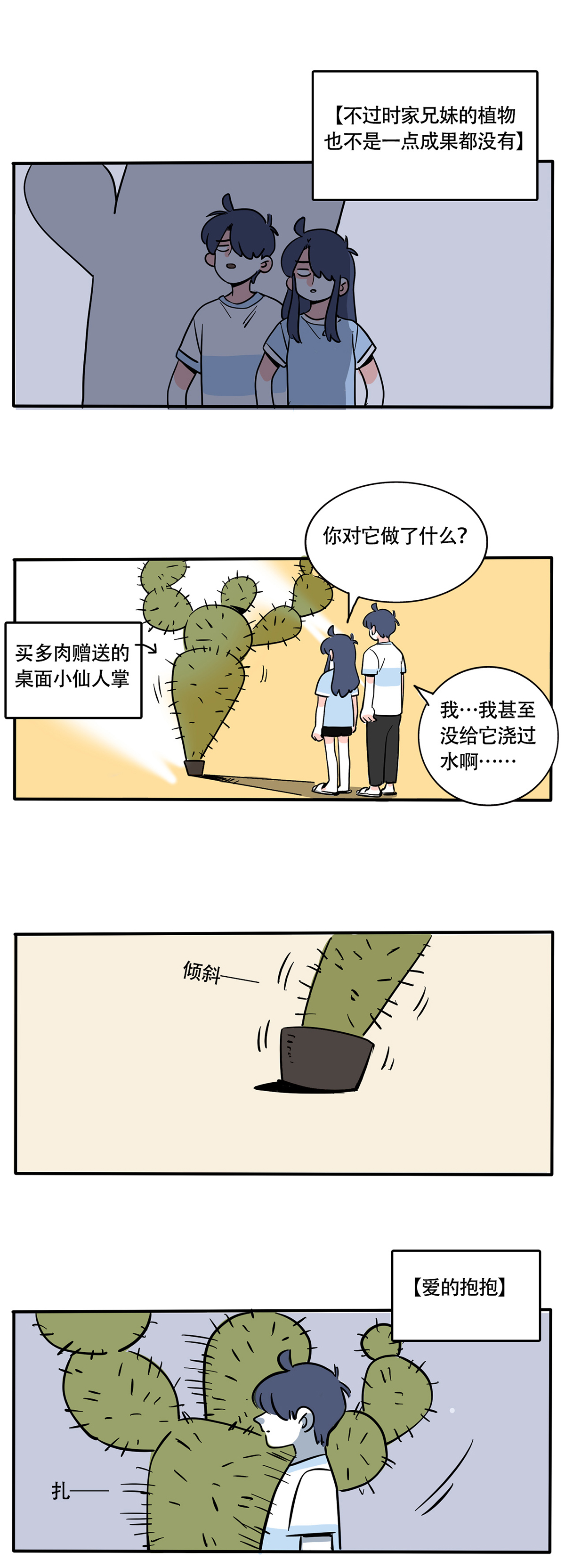 2.jpg