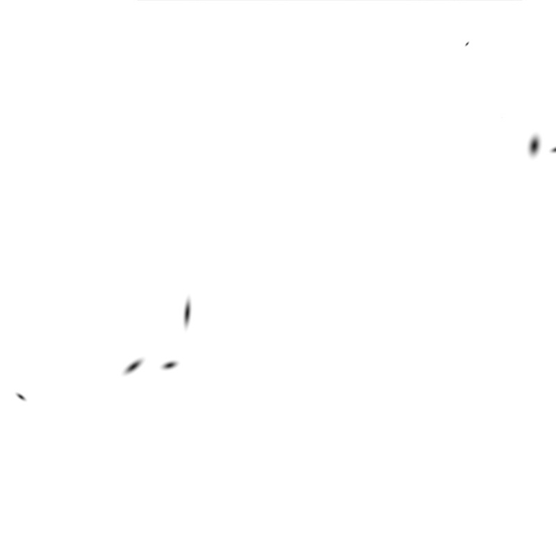 58.jpg