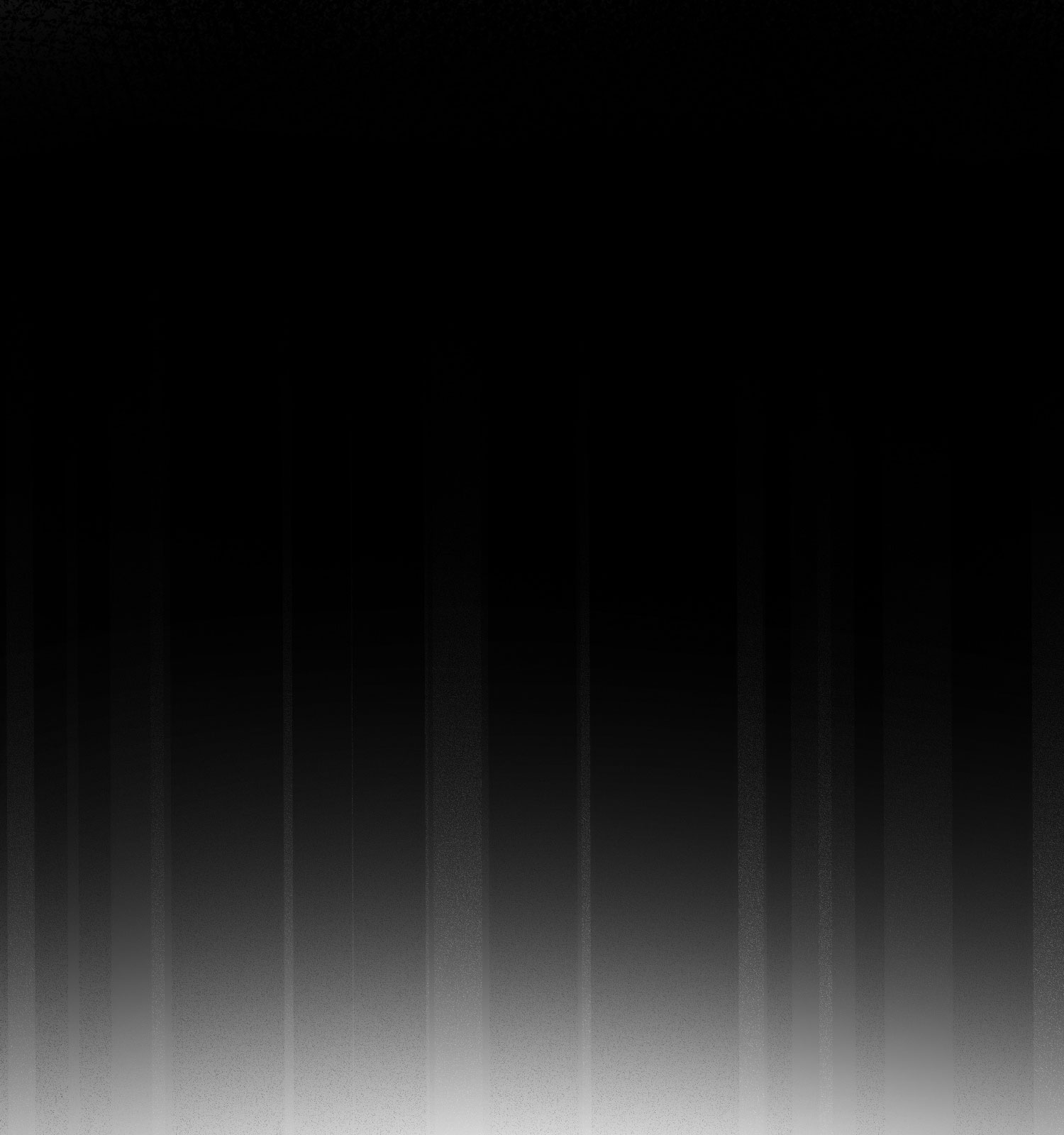 62.jpg