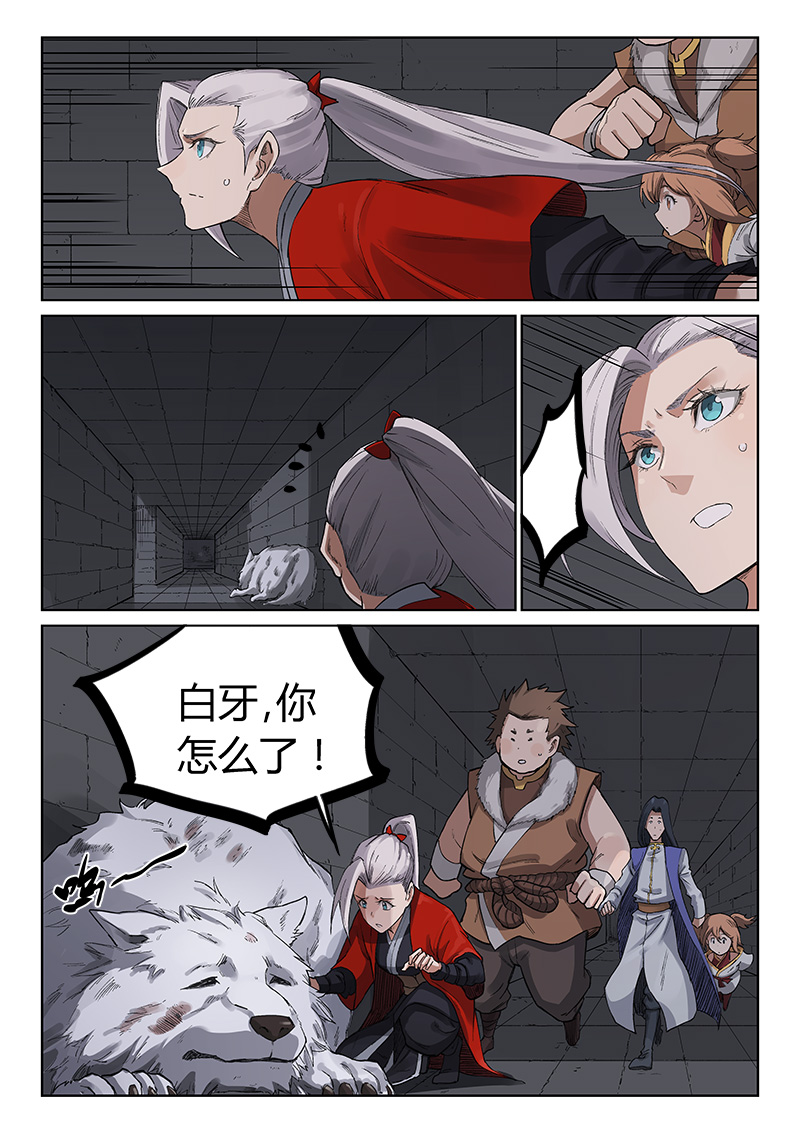 11.jpg