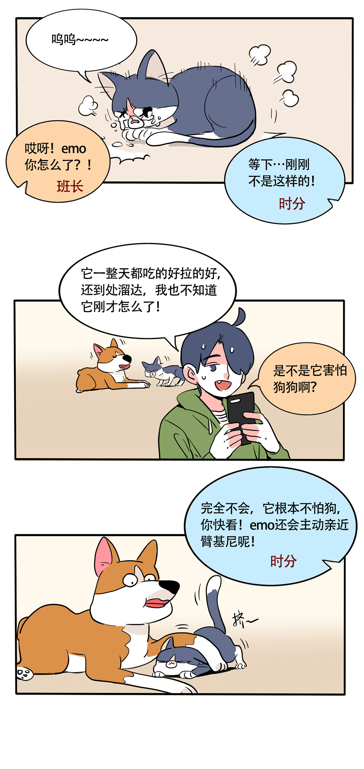 5.jpg