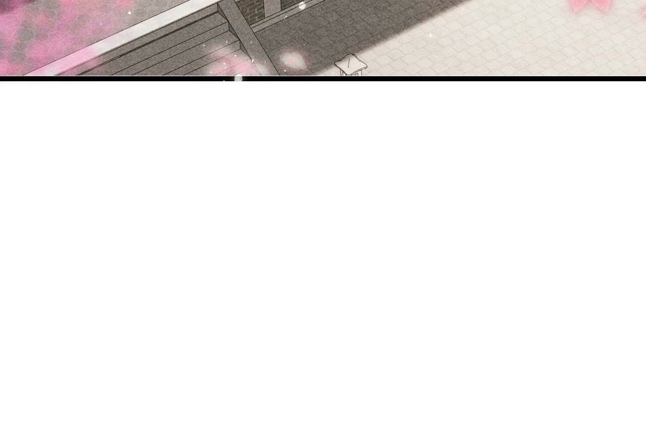65.jpg