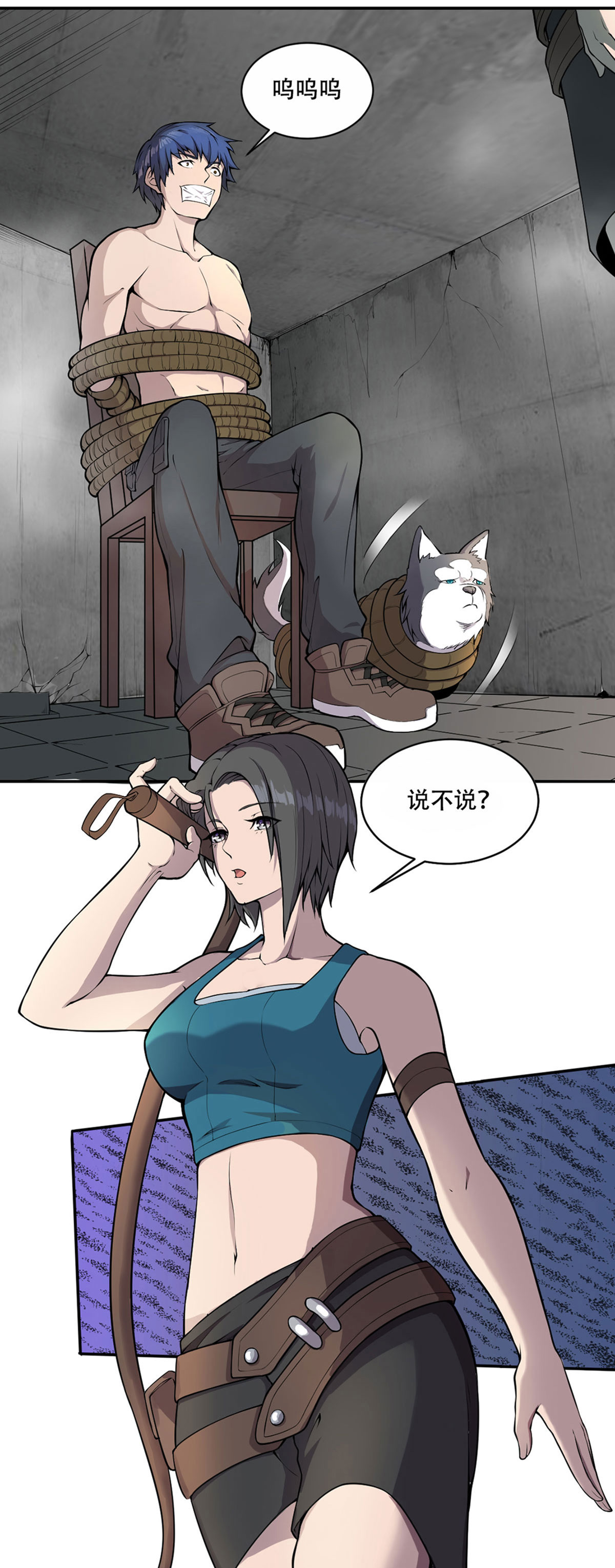 5.jpg