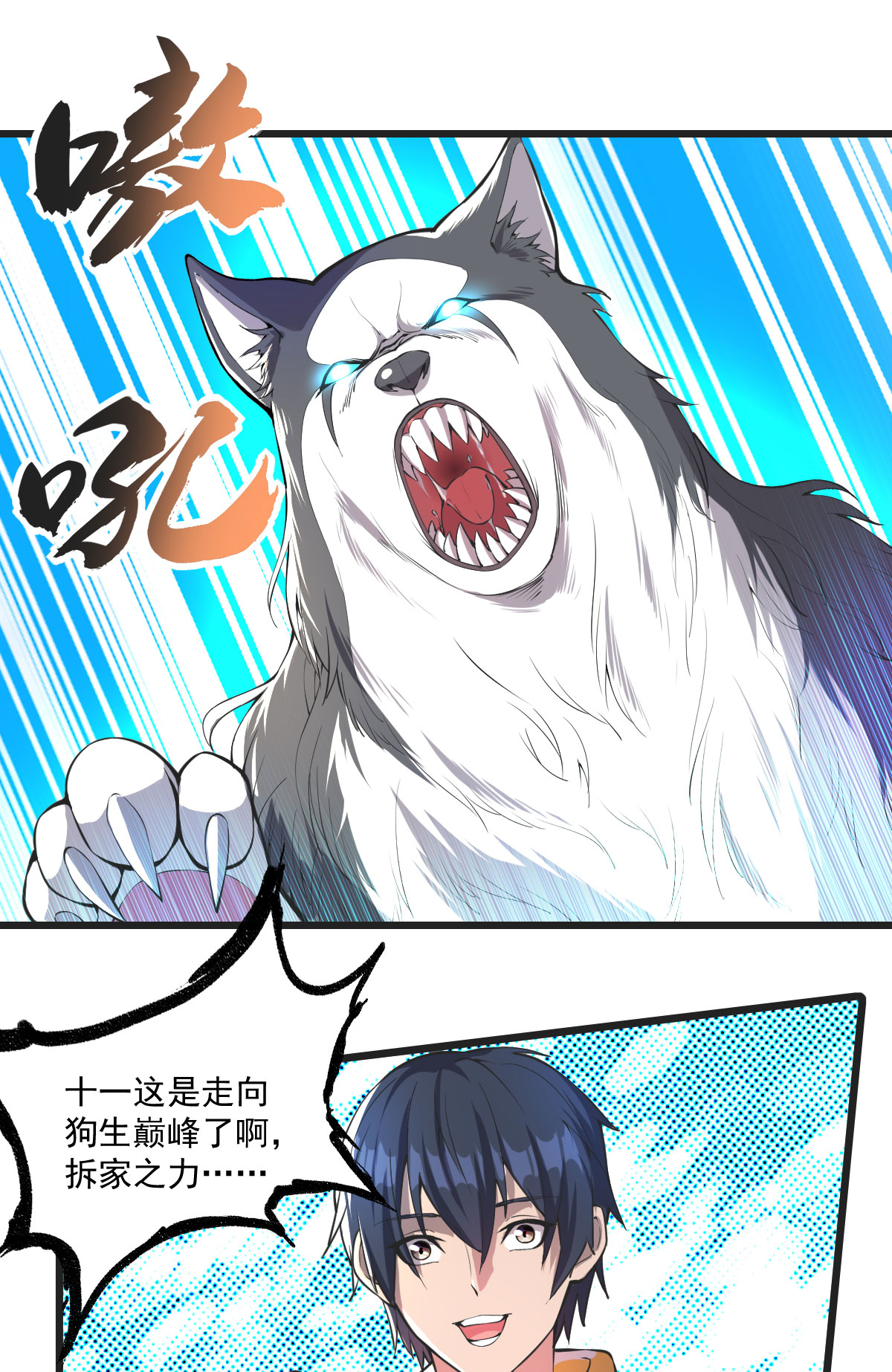 10.jpg