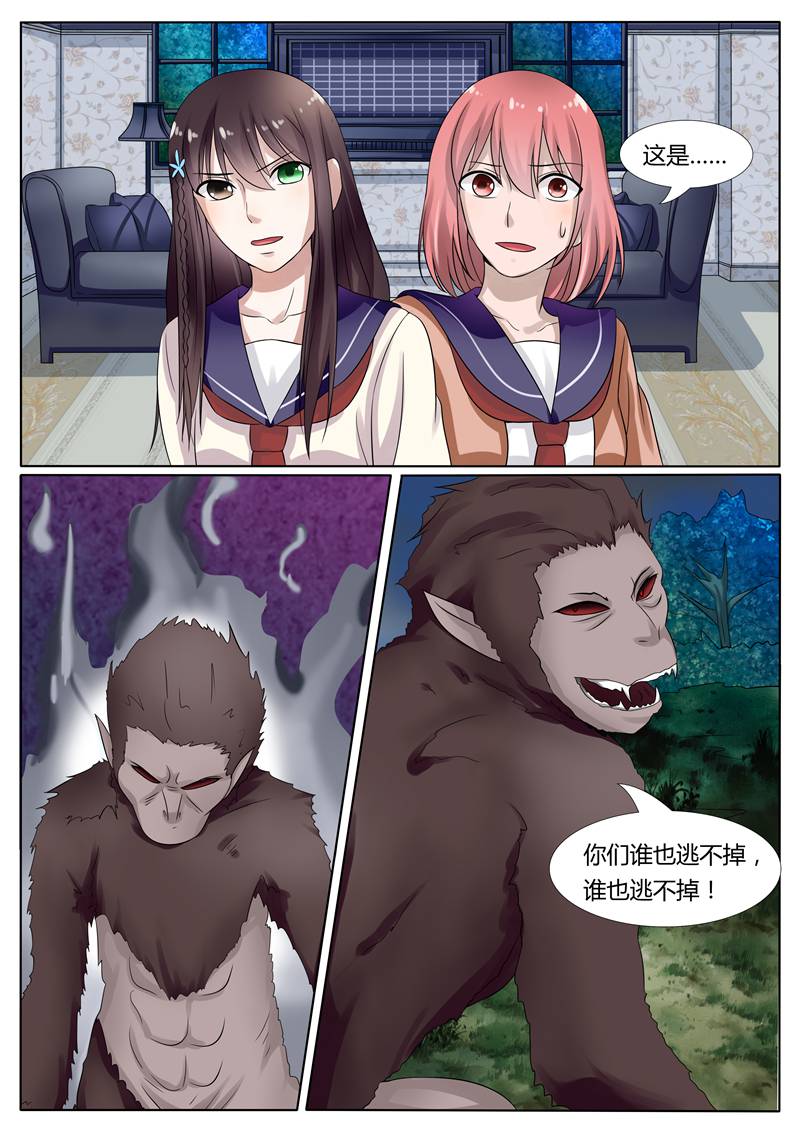 11.jpg