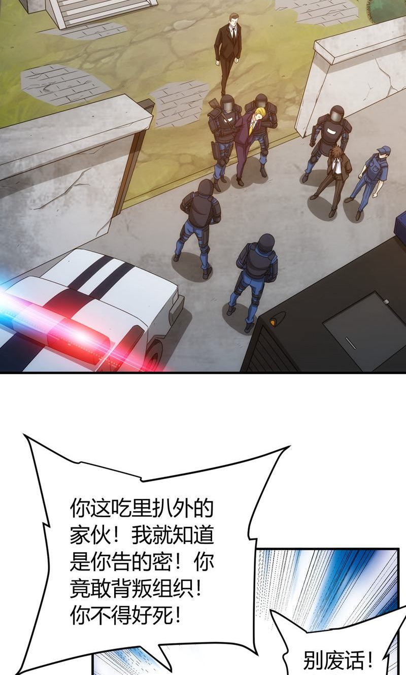 47.jpg