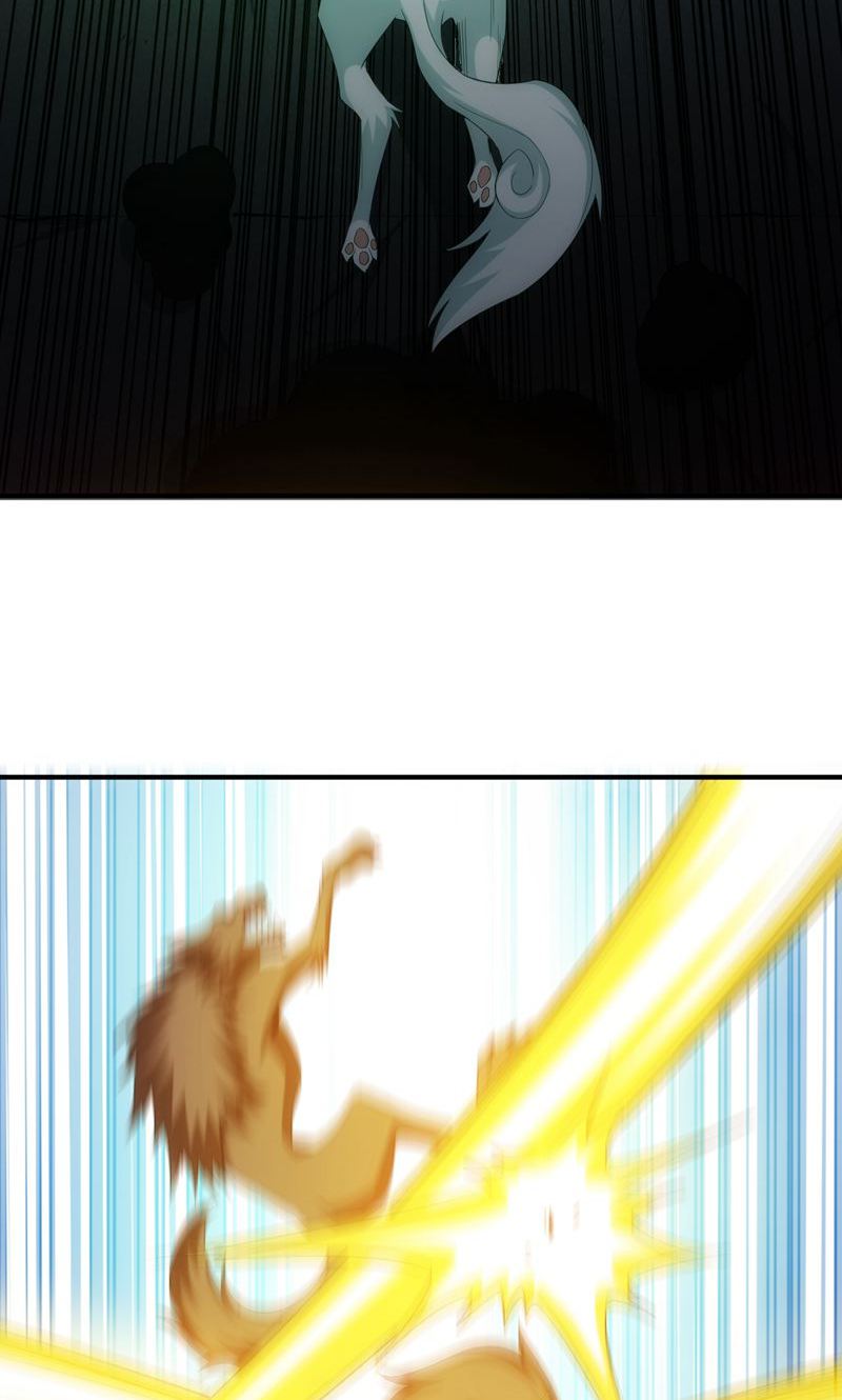 28.jpg
