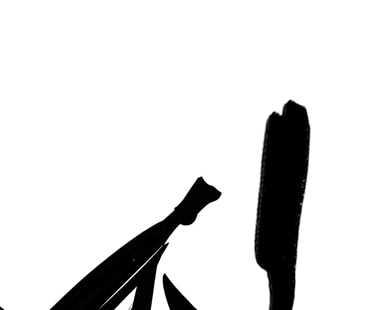 147.jpg