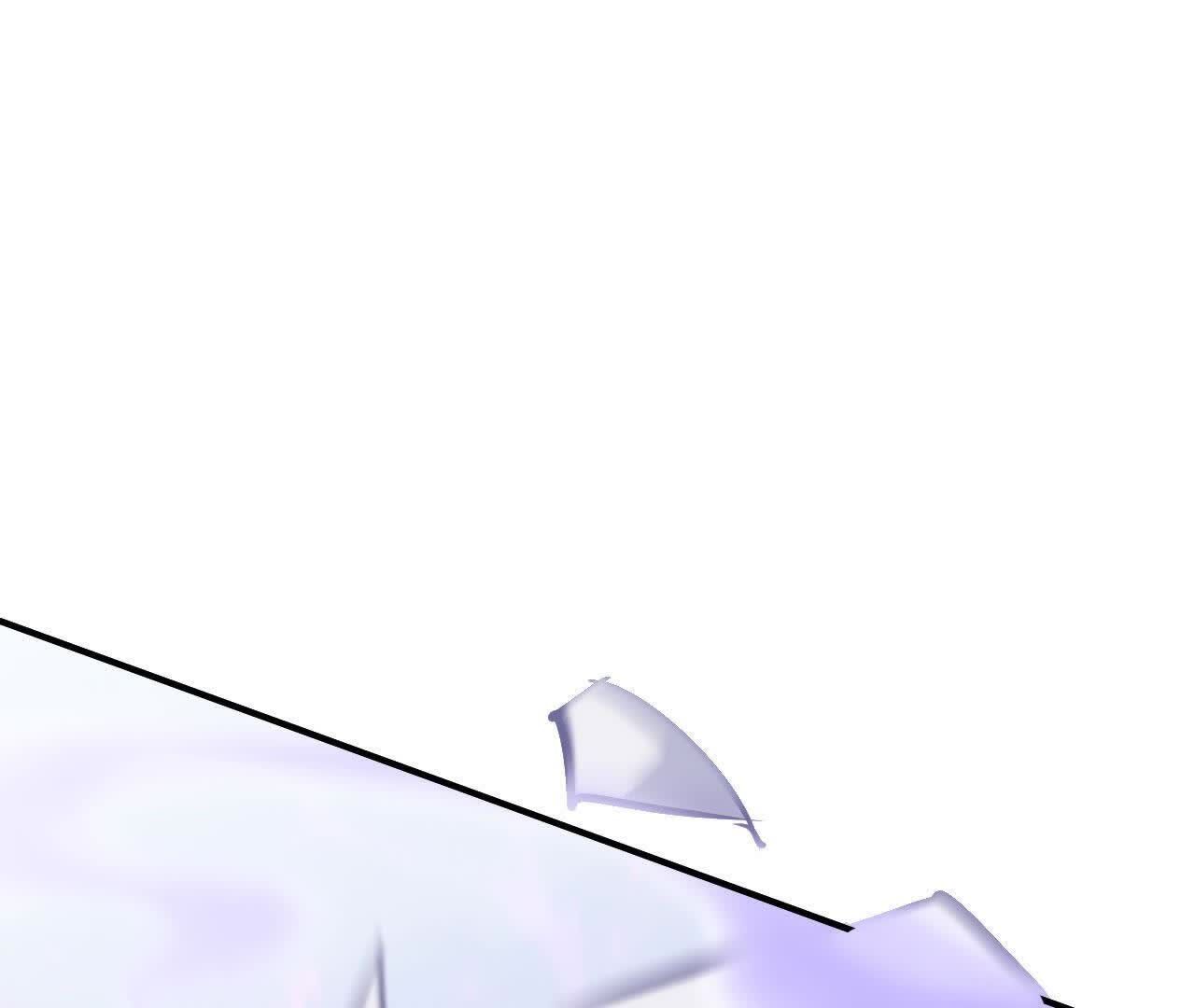 232.jpg