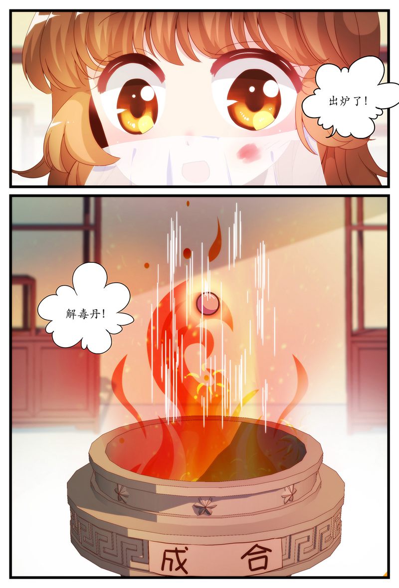 11.jpg