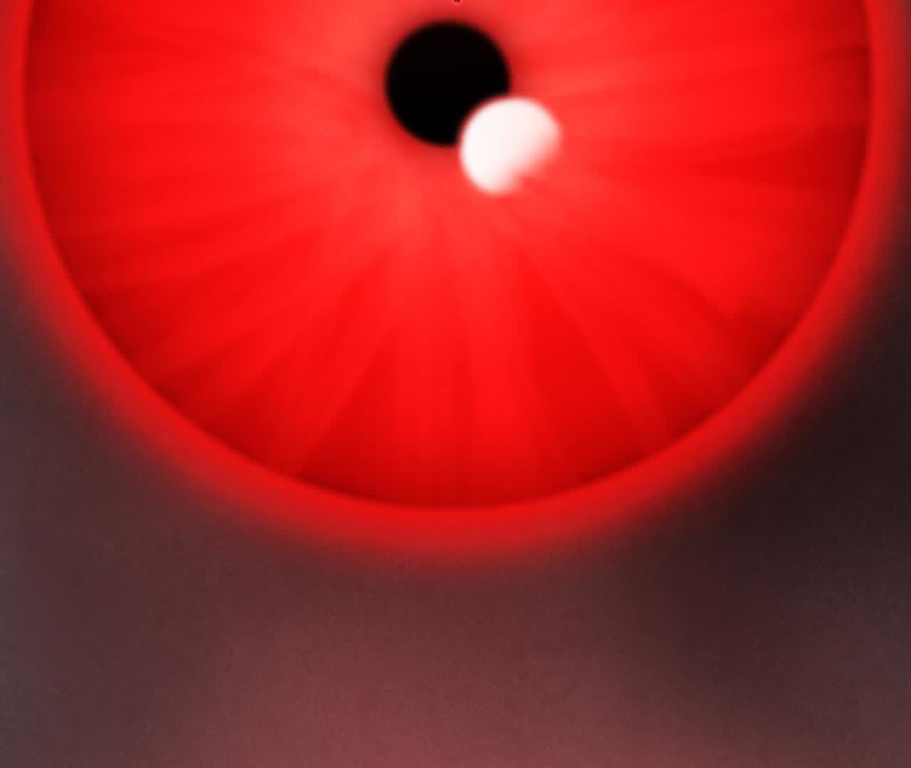 134.jpg