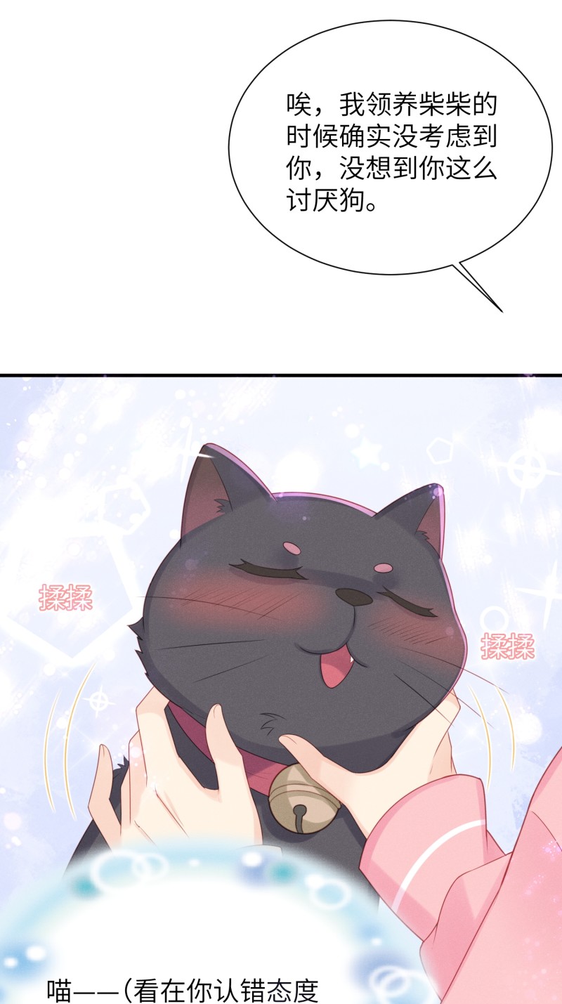 33.jpg