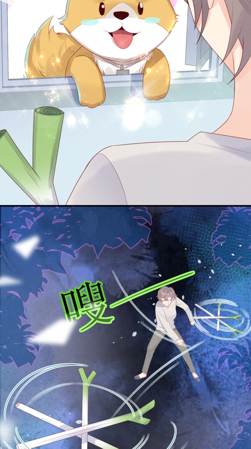 20.jpg