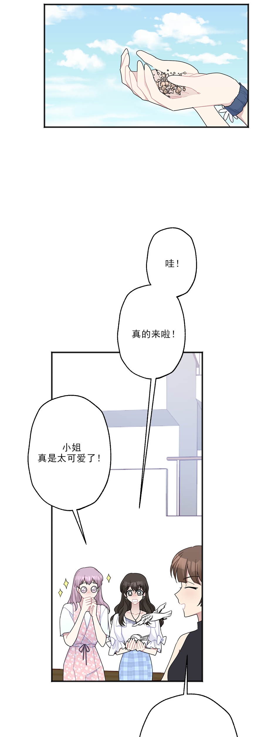 13.jpg