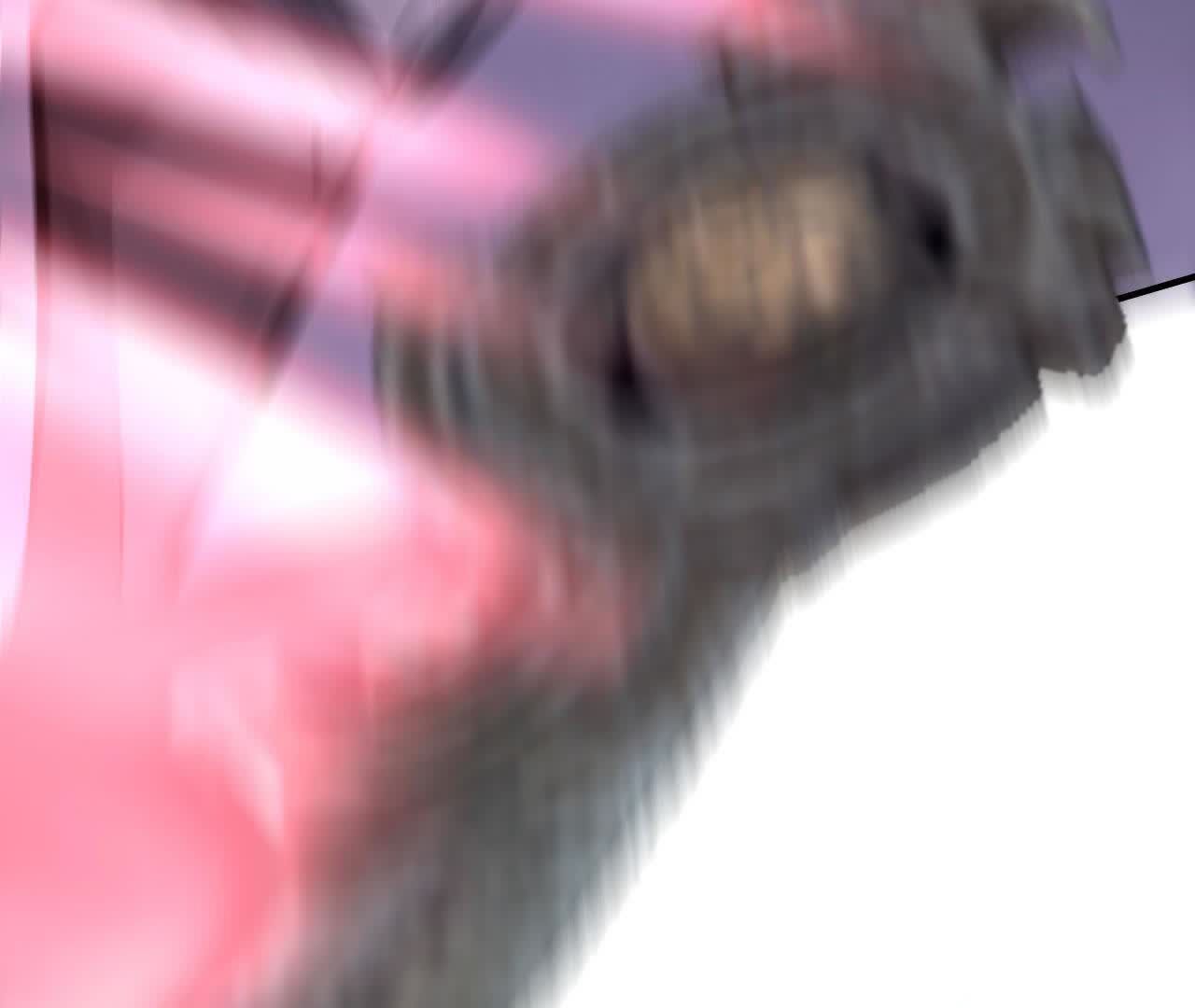 174.jpg