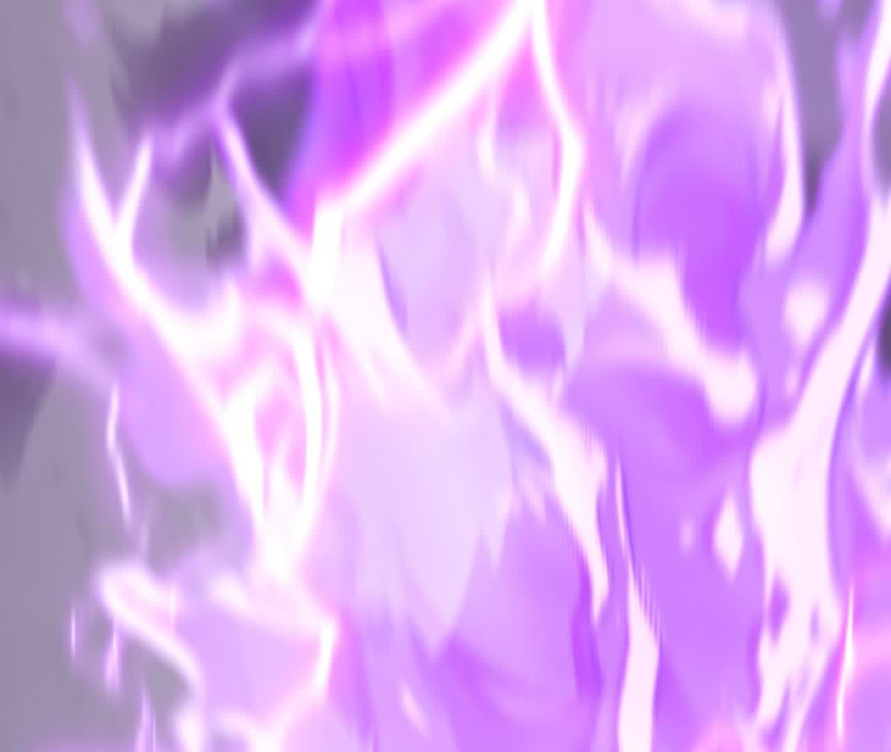 244.jpg