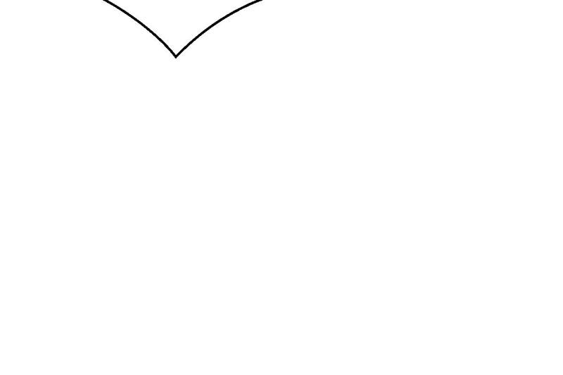 96.jpg