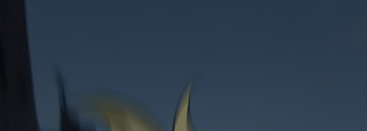 93.jpg