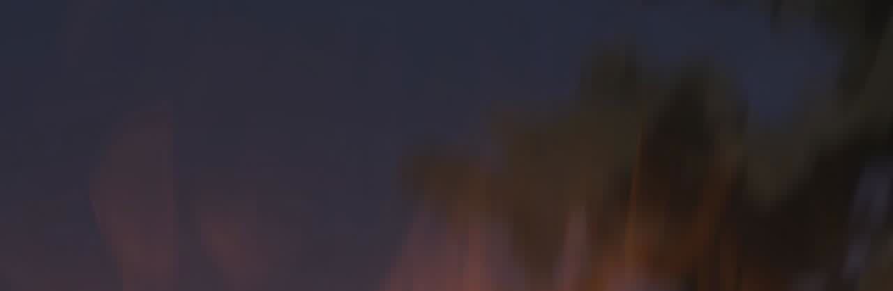 213.jpg