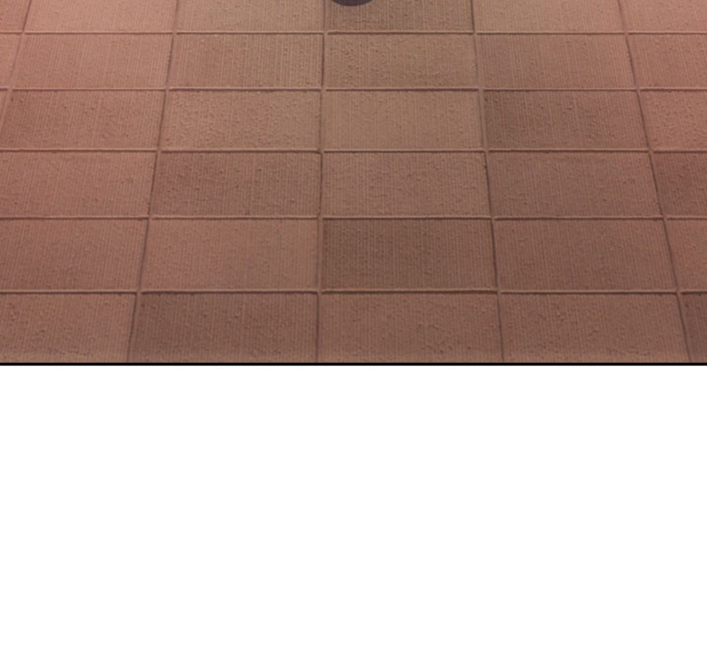 78.jpg