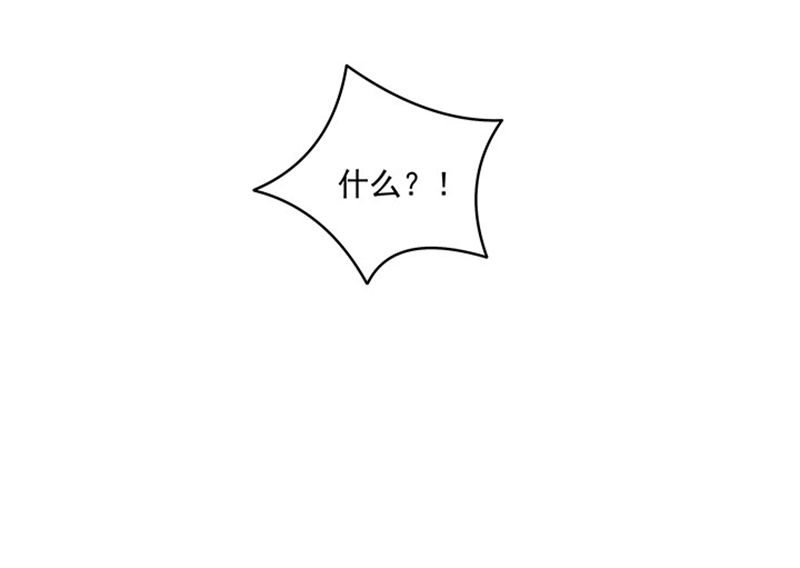 113.jpg