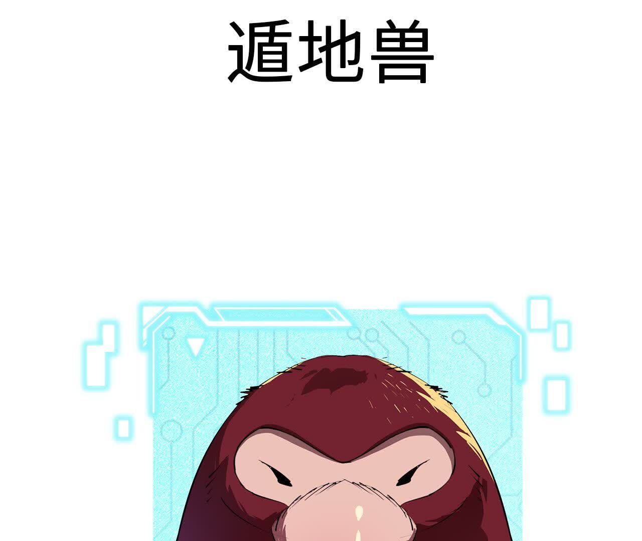 62.jpg