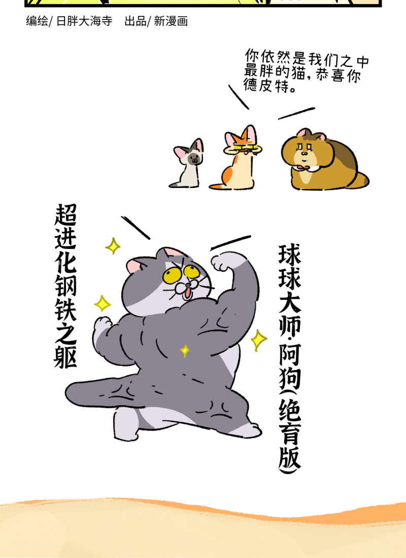 14.jpg