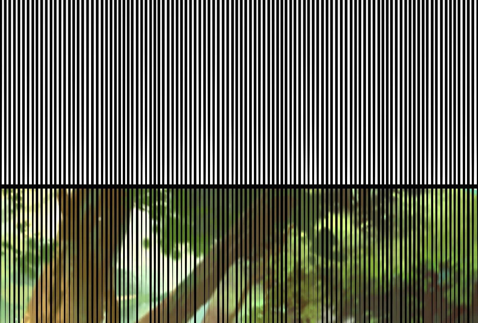 100.jpg