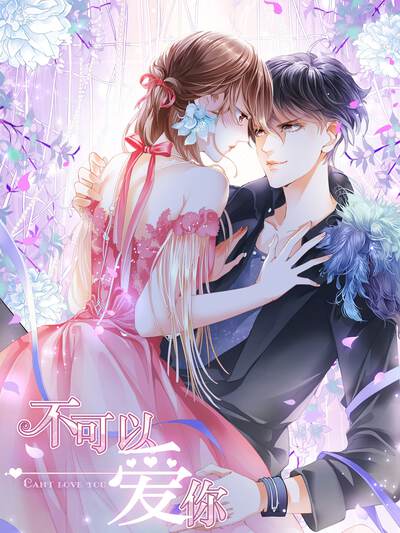 不可以爱你