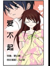 爱不起