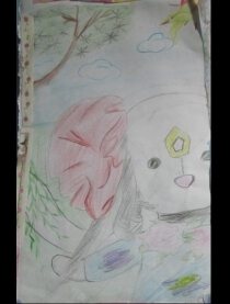 枫绘本-枫漫画系列